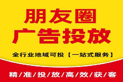 某行业领军企业的SEM广告投放策略